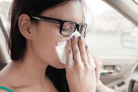 Allergy Symptoms:Sneezing